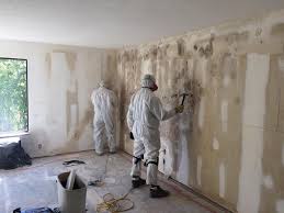 Why You Should Choose Our Mold Remediation Services in Albany, KY